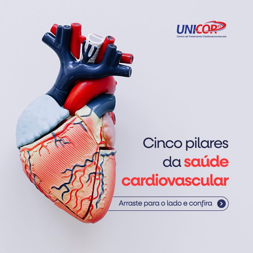 pilaressaudecardiovascular (1)